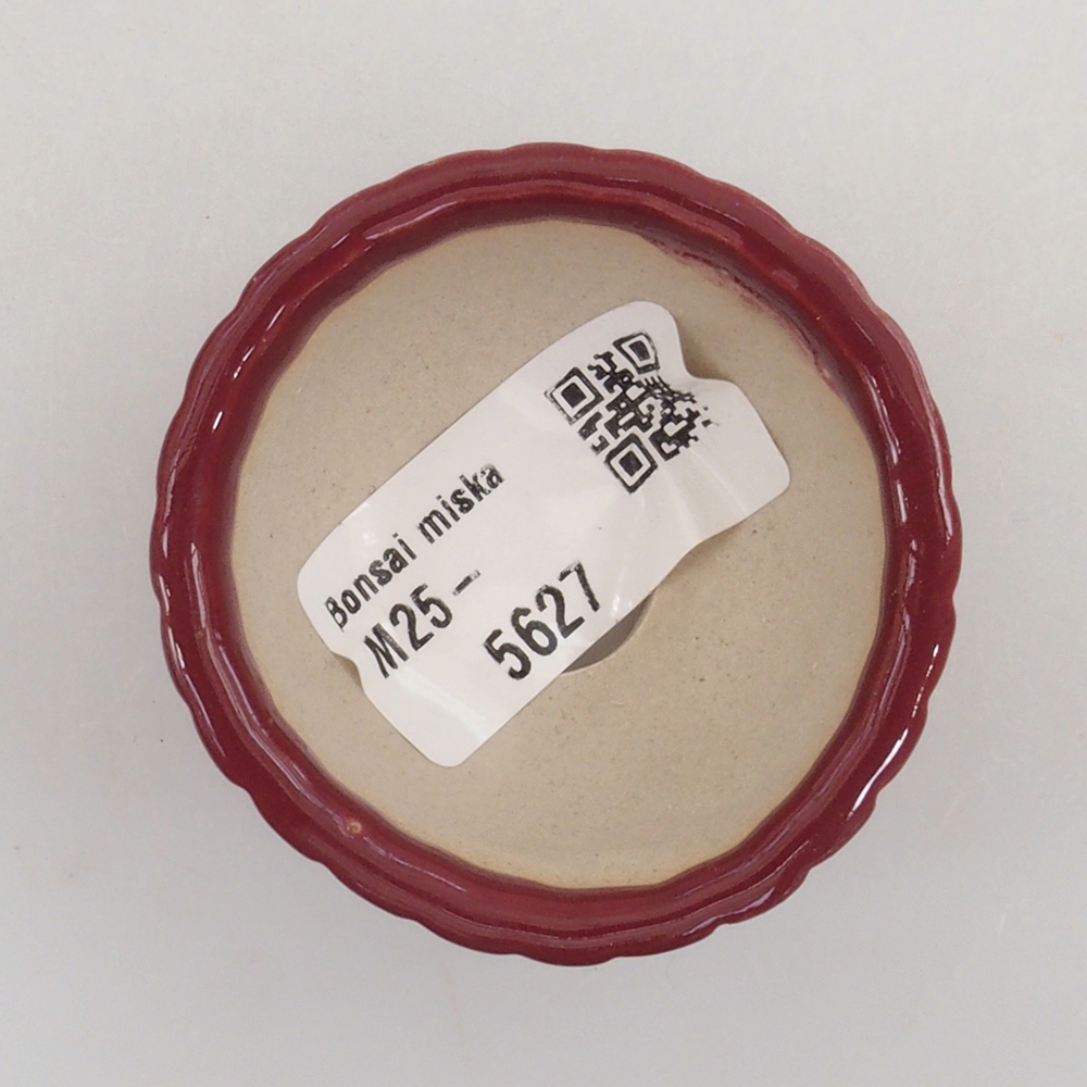 Mini cuenco bonsái 5 x 5 x 2,5 cm, color burdeos