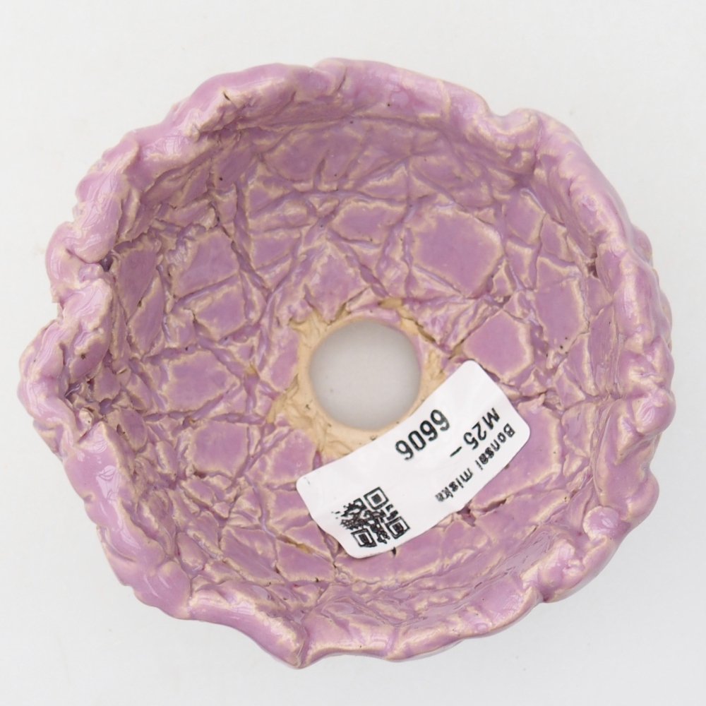 Concha de cerámica 9 x 9 x 6 cm , color morado