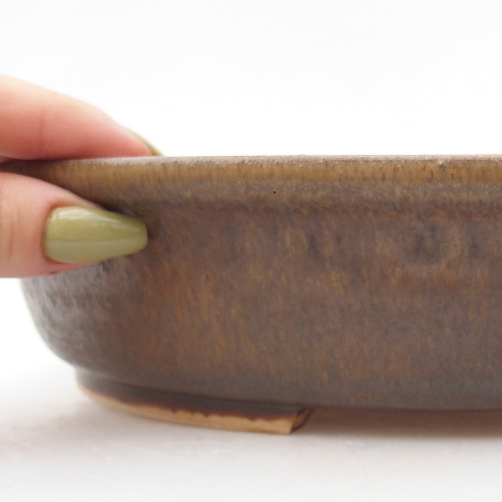 Cuenco bonsái de cerámica 25,5 x 28,5 x 5,5 cm, marrón