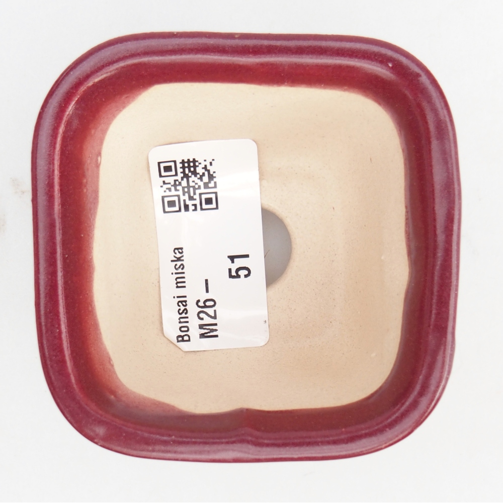 Cuenco mini bonsái 6 x 6 x 4,5 cm, burdeos