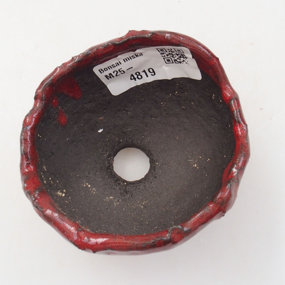 Concha de cerámica 7 x 6,5 x 5 cm , color rojo