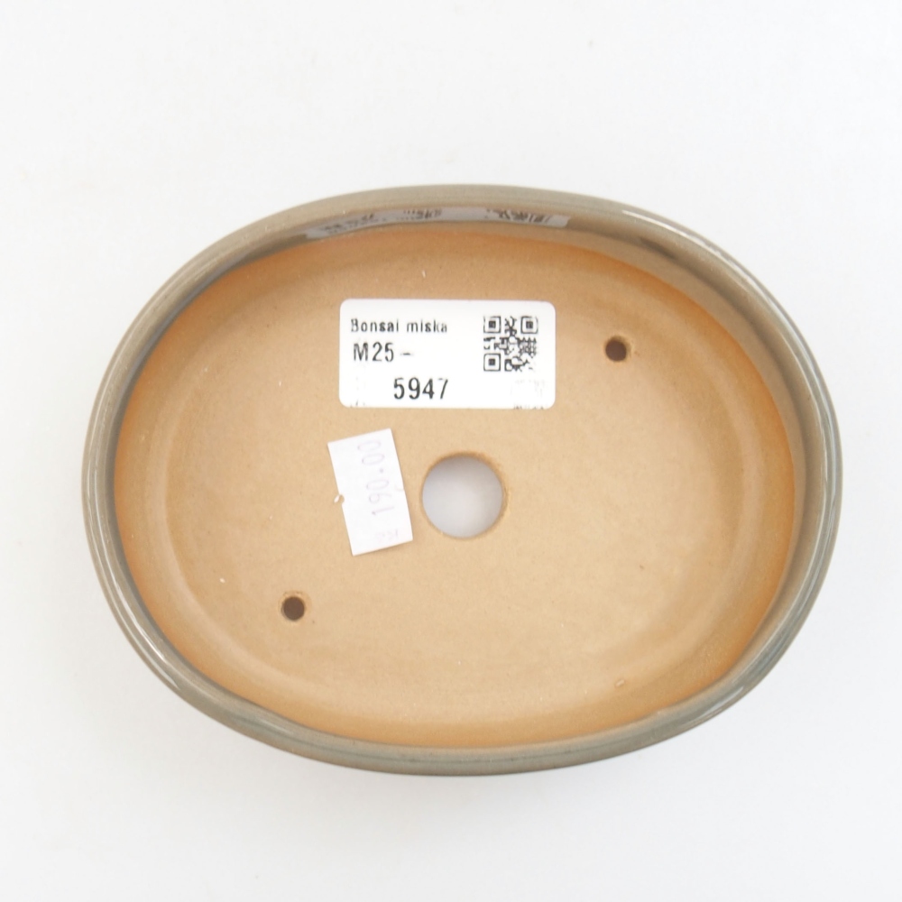 Cuenco bonsái de cerámica 22 x 17 x 5 cm, verde