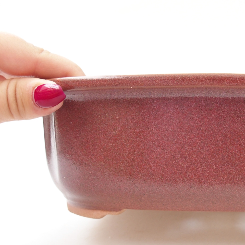 Cuenco bonsái de cerámica 24,5 x 21 x 7 cm, color burdeos