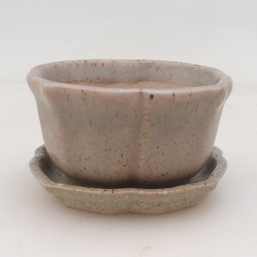 Bonsai cuenco + platillo H95 - beige
