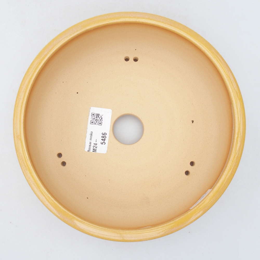 Cuenco bonsái de cerámica 18,5 x 18,5 x 6 cm, amarillo