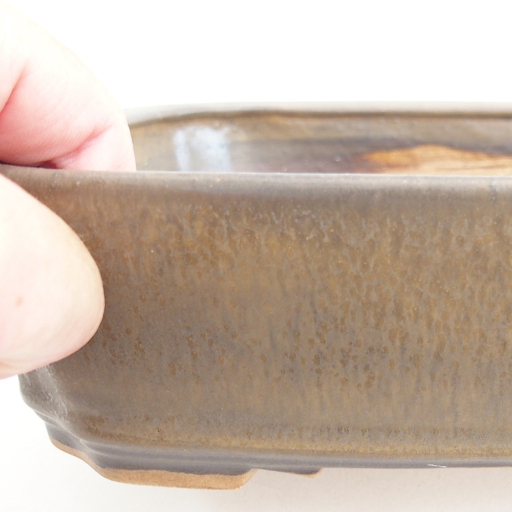 Cuenco bonsái de cerámica 21 x 18 x 6 cm, marrón