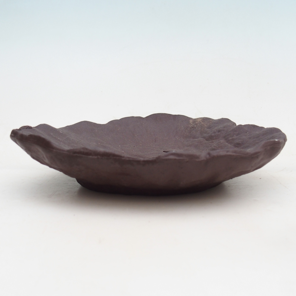 Concha de cerámica 16 x 14,5 x 4 cm , color marrón