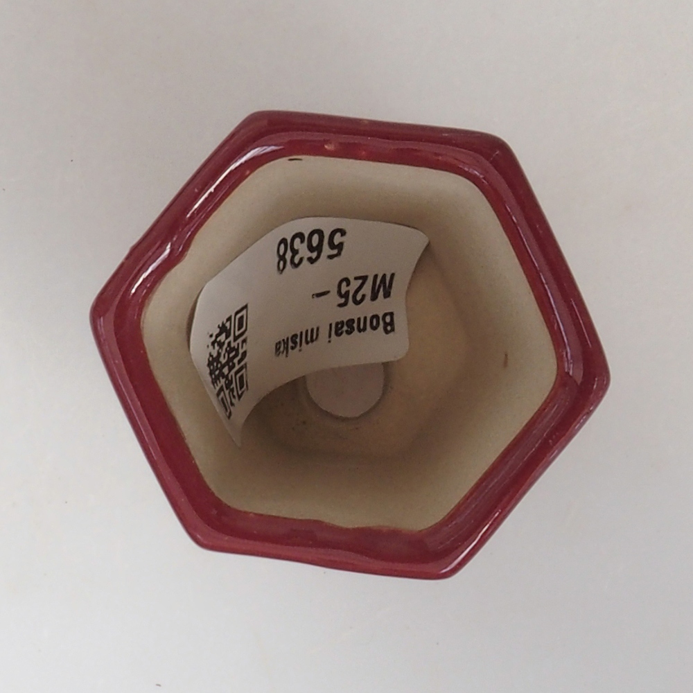 Cuenco mini bonsái 4,5 x 4 x 6 cm, burdeos