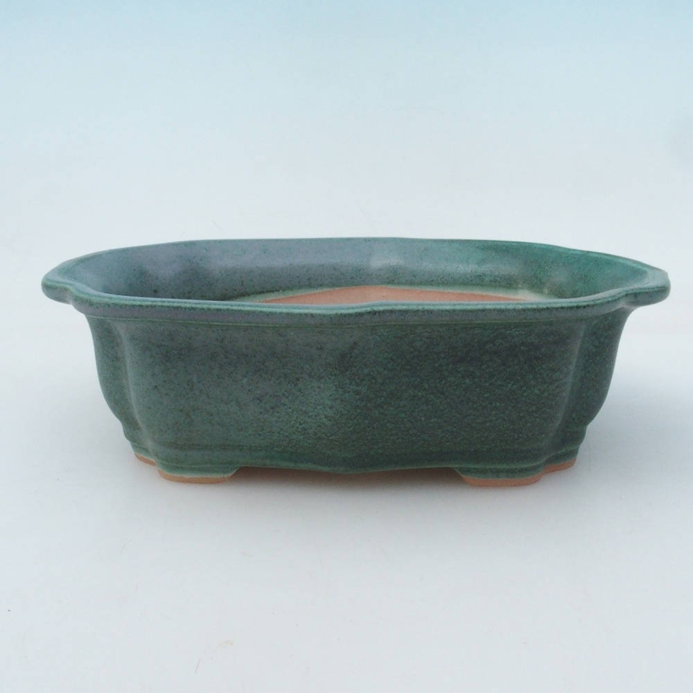 Cuenco bonsai + platillo H51 - 18x14x5 cm - verde