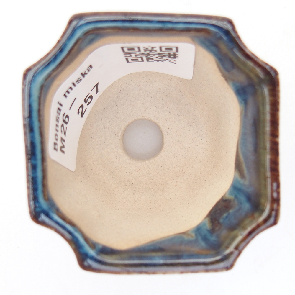 Cuenco mini bonsái 4,5 x 4,5 x 4 cm, color azul