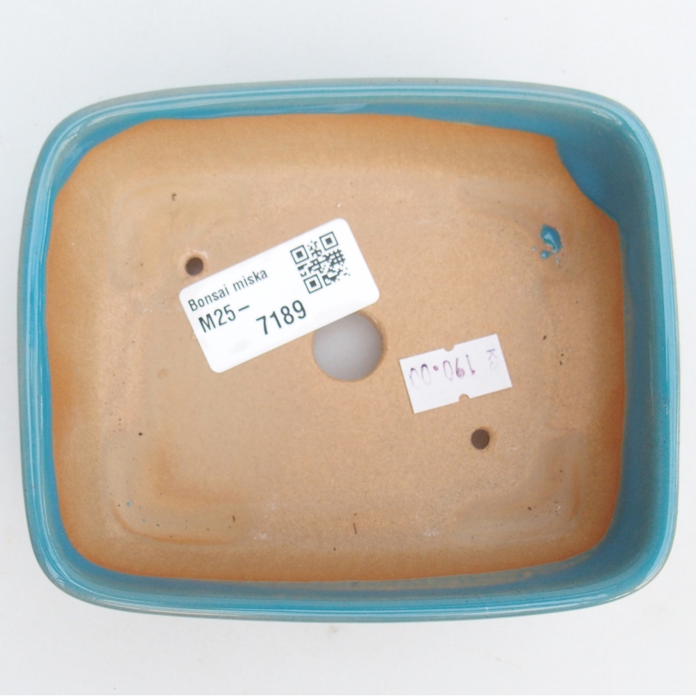 Cuenco bonsái de cerámica 12 x 10 x 4 cm, color azul