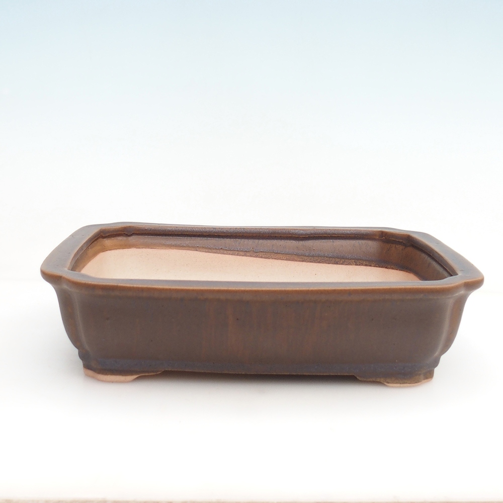 Cuenco para bonsái H07 - 30 x 20,5 x 8 cm.