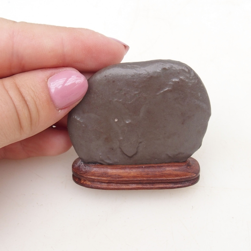 Suiseki - Piedra con DAI (base de madera)