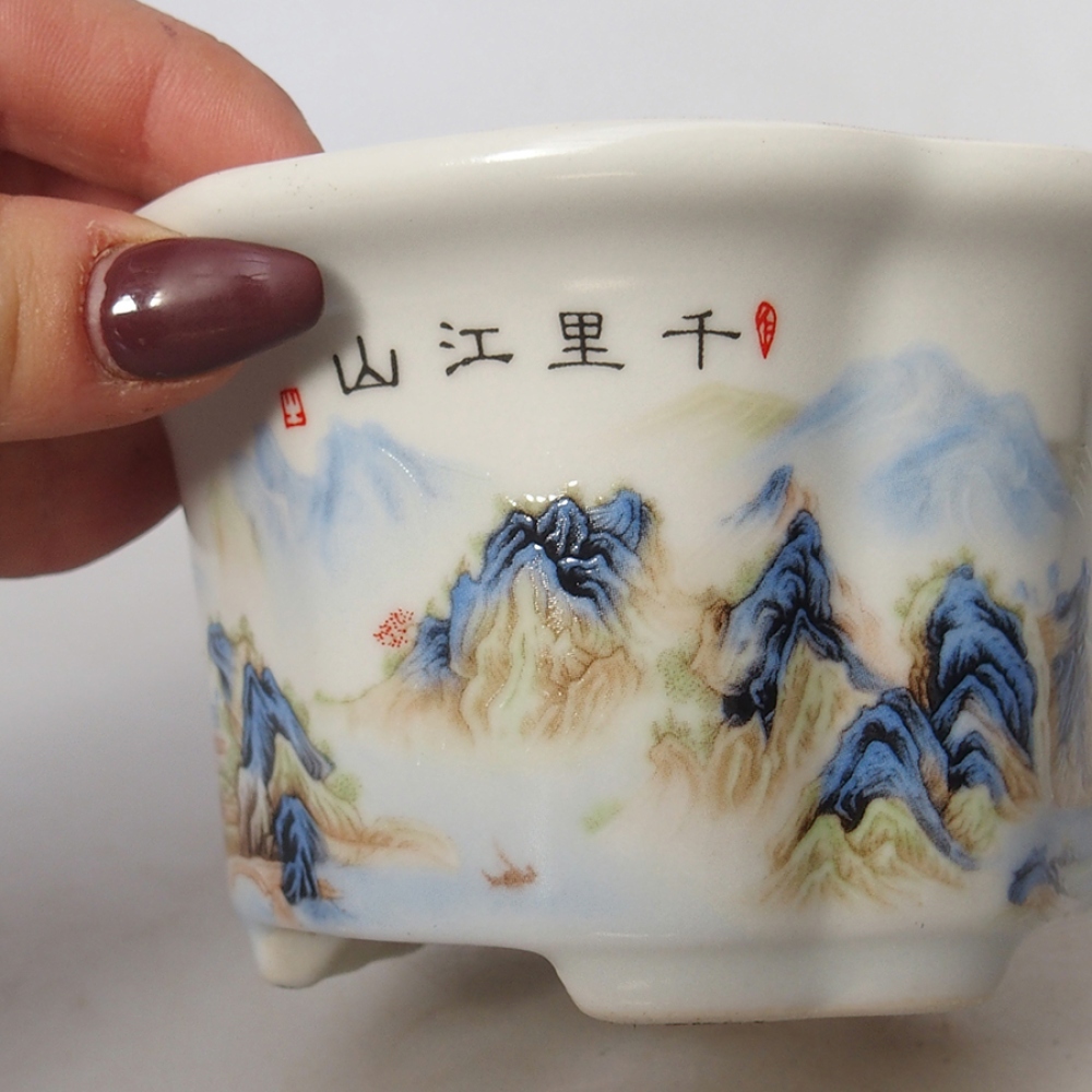 Cuenco bonsái de cerámica 11,5 x 11,5 x 6 cm, blanco