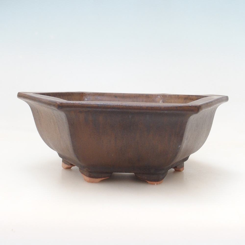 Cuenco bonsái H53 - 19 x 21,5 x 7 cm - marrón