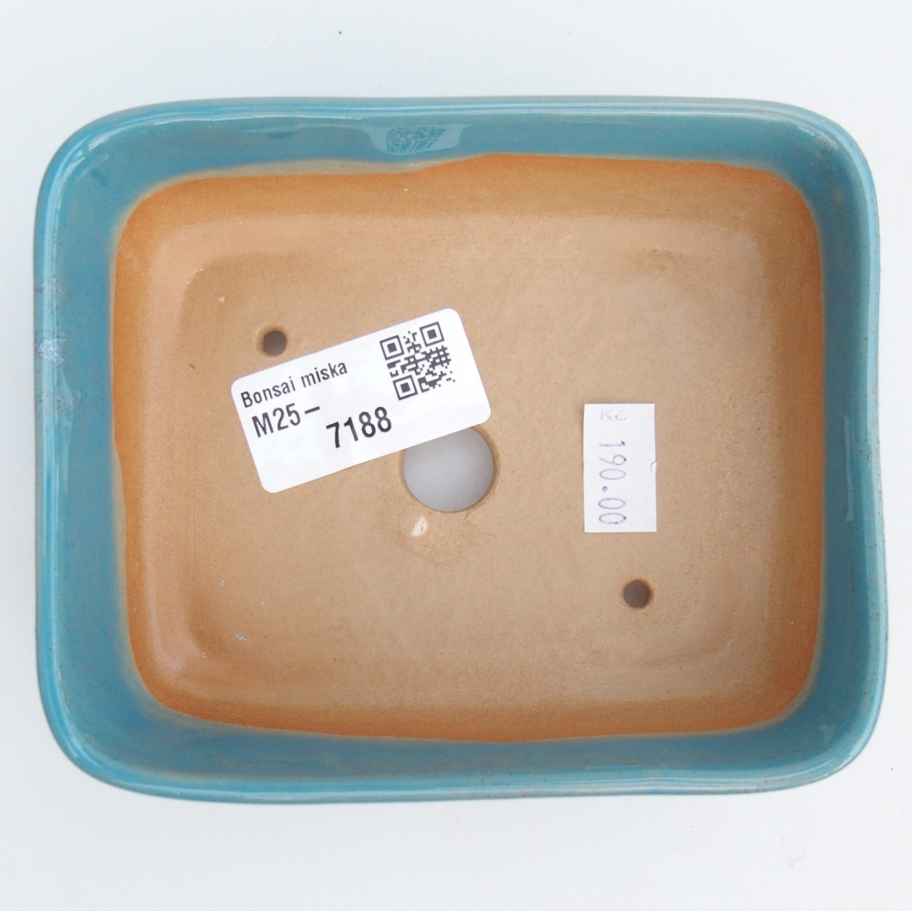 Cuenco bonsái de cerámica 12 x 10 x 4 cm, color azul