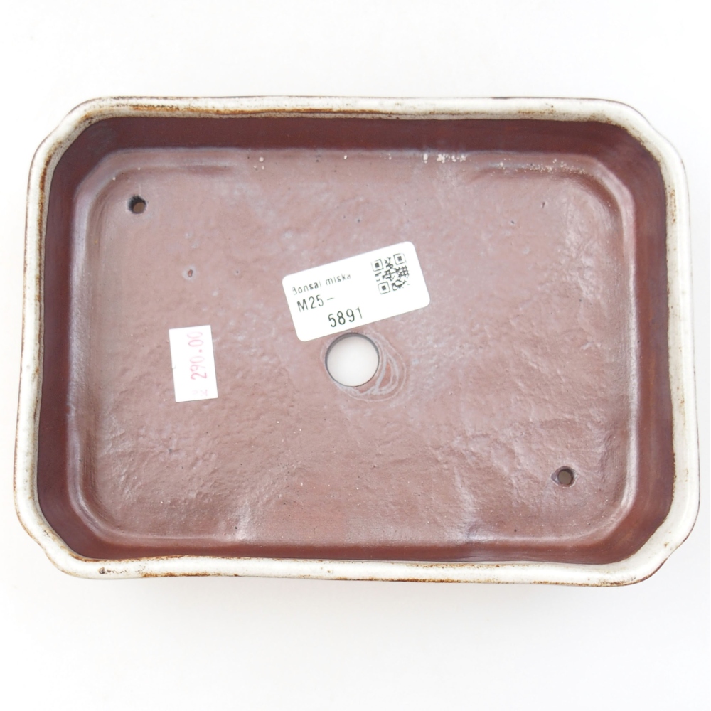 Cuenco bonsái de cerámica 22 x 17 x 5 cm, verde