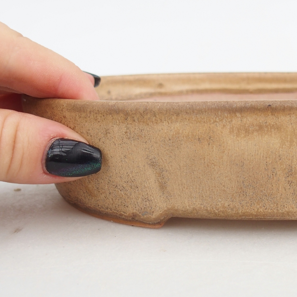 Cuenco bonsái de cerámica 17 x 14 x 4 cm, color beige