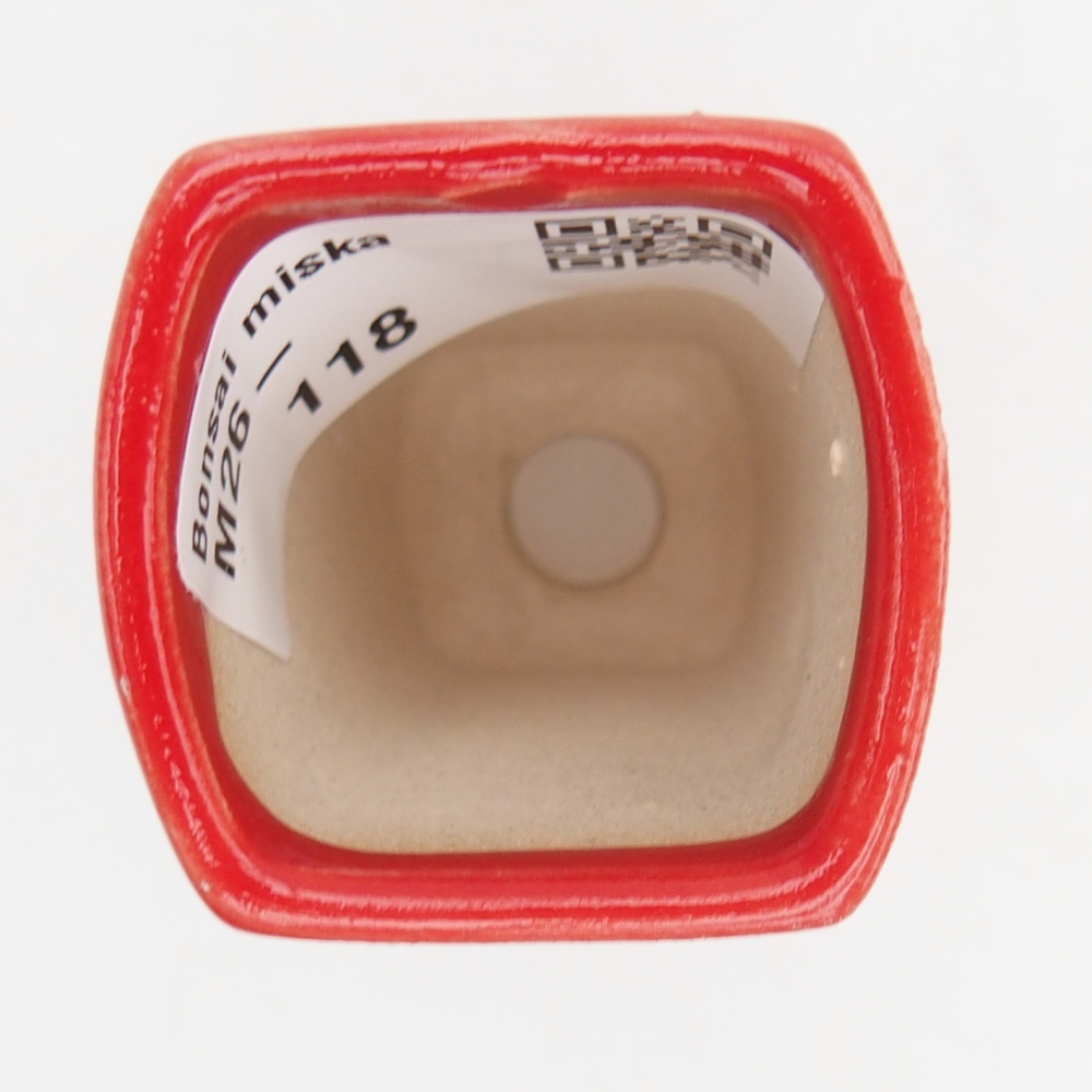 Mini cuenco bonsái 3,5 x 3 x 5,5 cm, color rojo