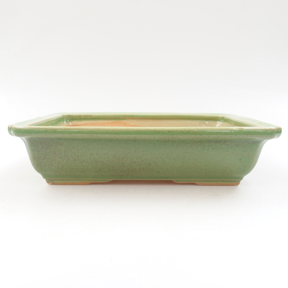 Cuenco bonsái de cerámica 22 x 17 x 5 cm, verde