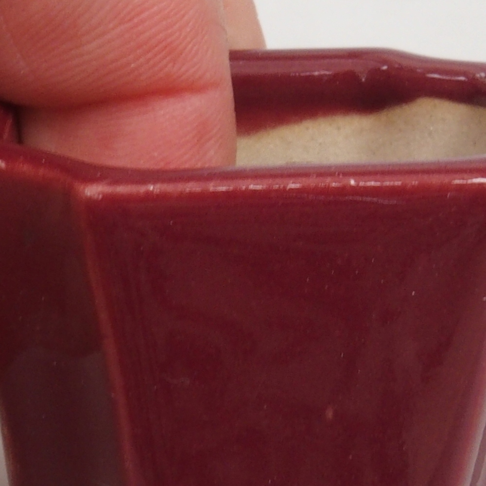 Cuenco mini bonsái 4 x 4 x 4 cm, burdeos