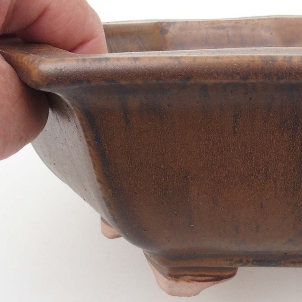 Cuenco bonsái H53 - 19 x 21,5 x 7 cm - marrón