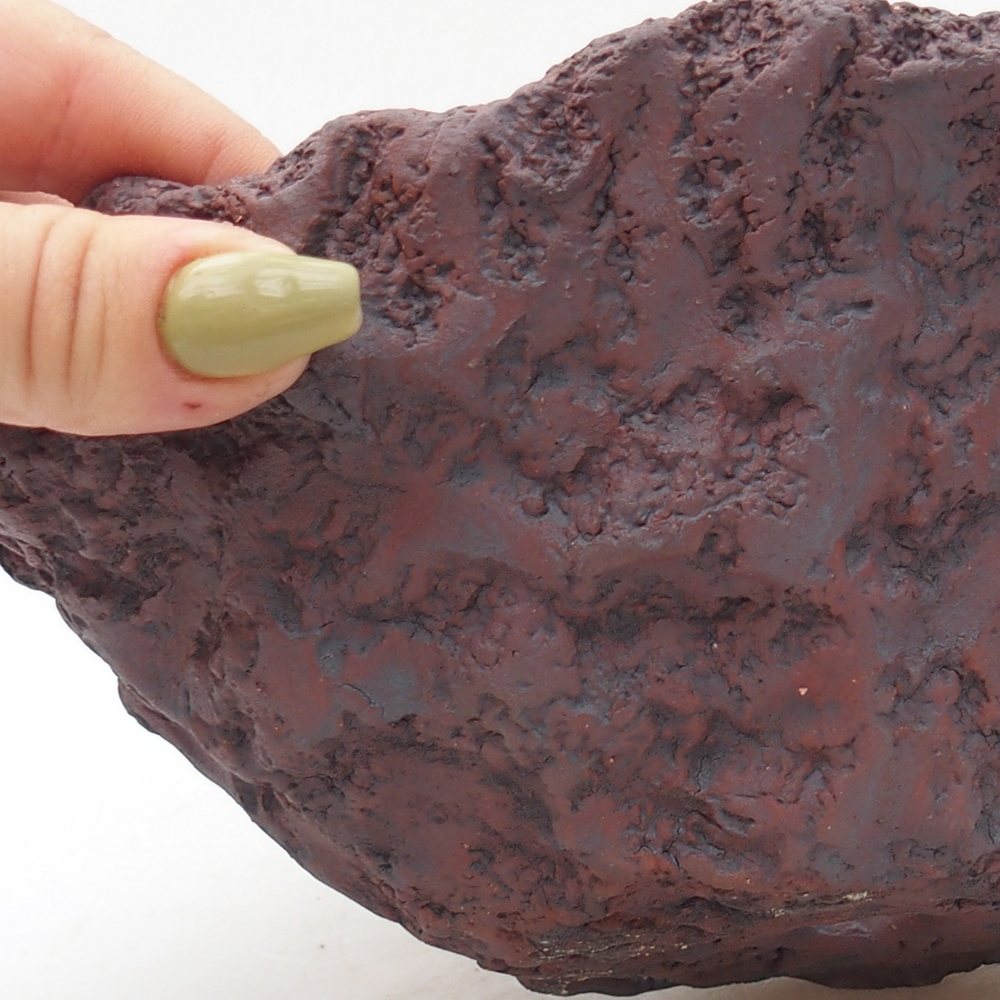 Concha de cerámica 20 x 16 x 15,5 cm , color marrón