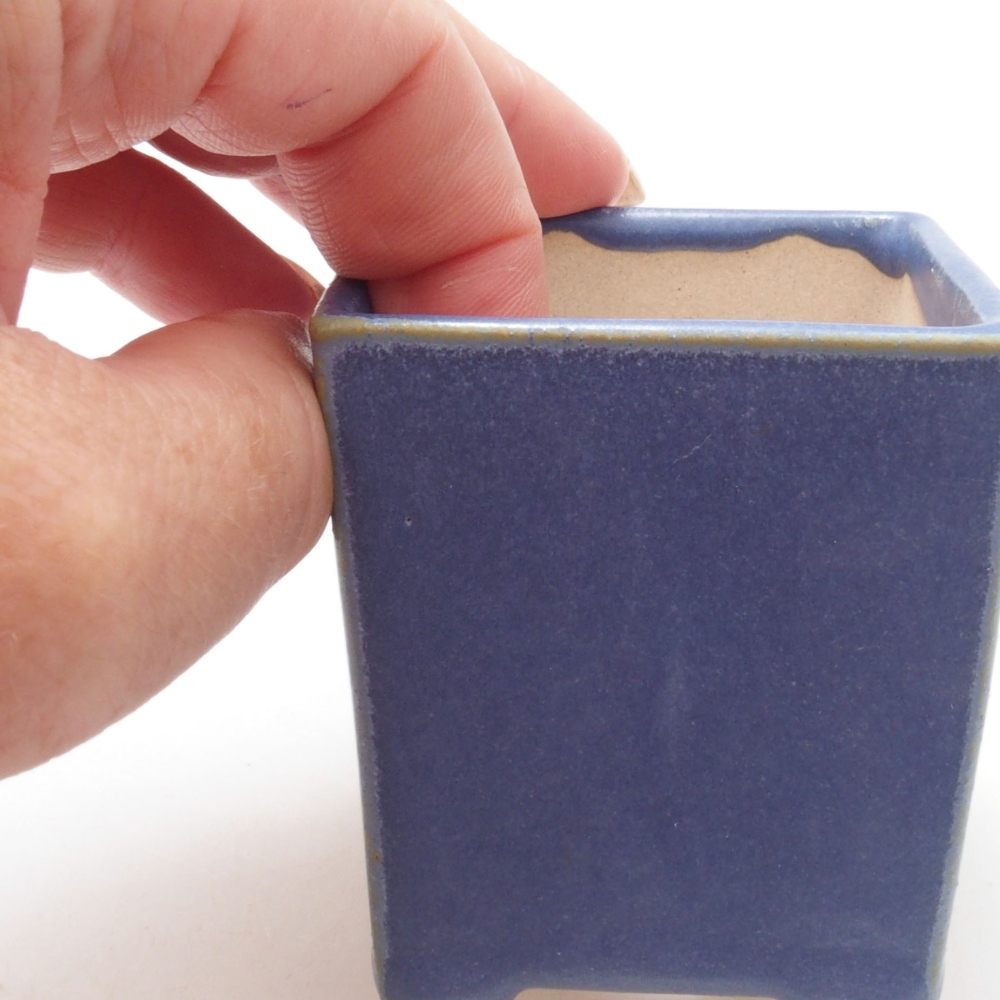Cuenco mini bonsái 5,5 x 5,5 x 6,5 cm, color azul