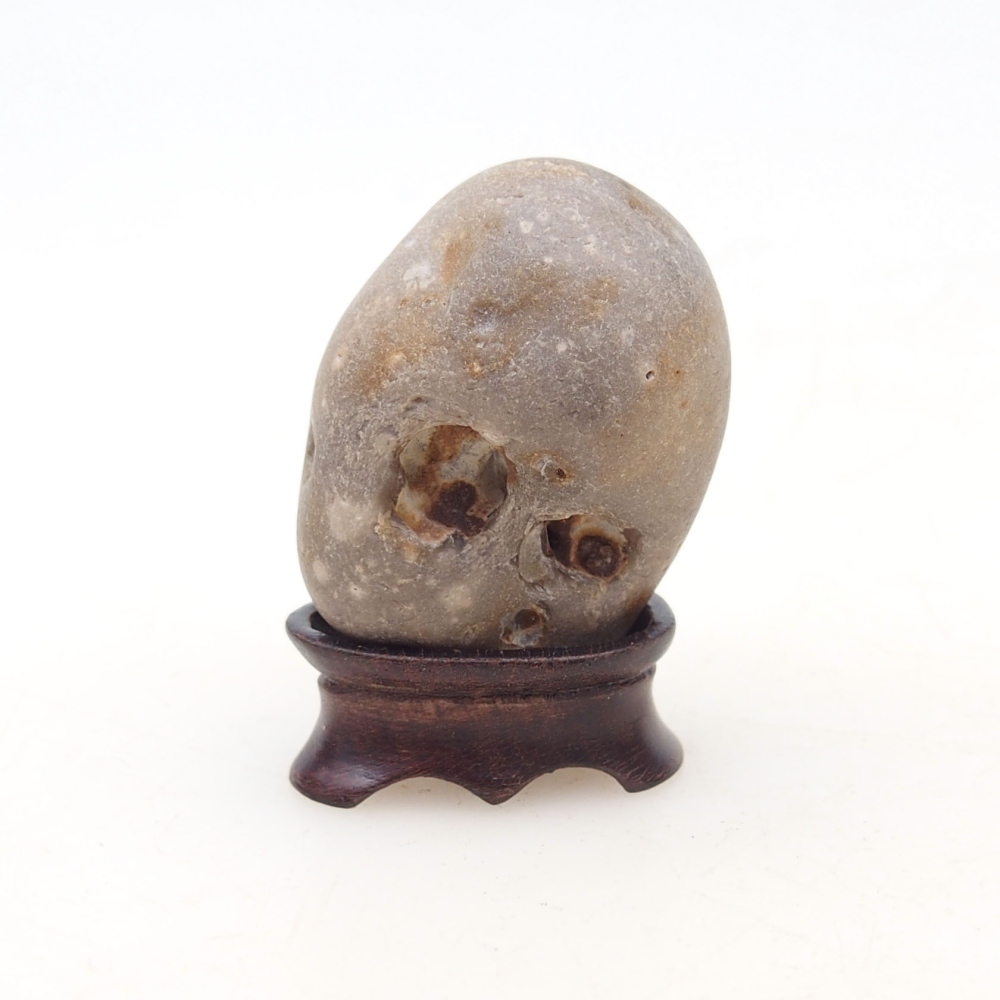 Suiseki - Piedra con DAI (base de madera)