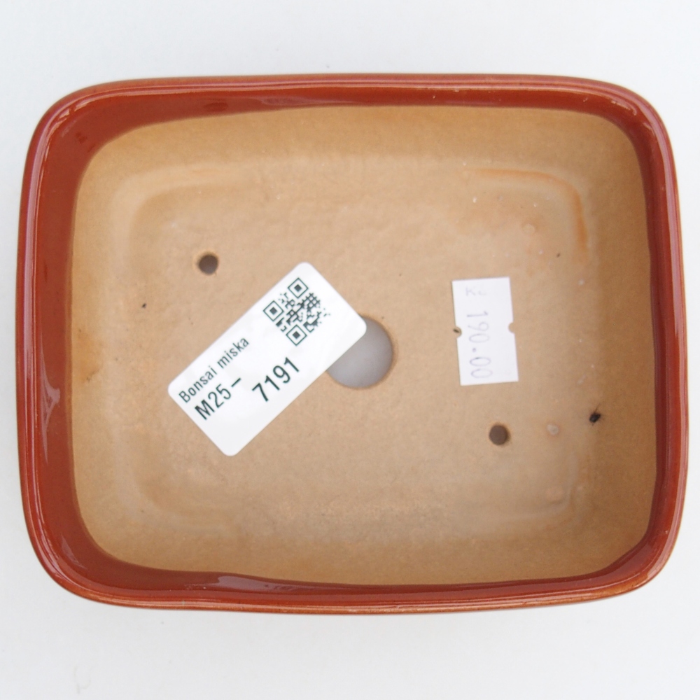 Cuenco bonsái de cerámica 12 x 10 x 4 cm, marrón