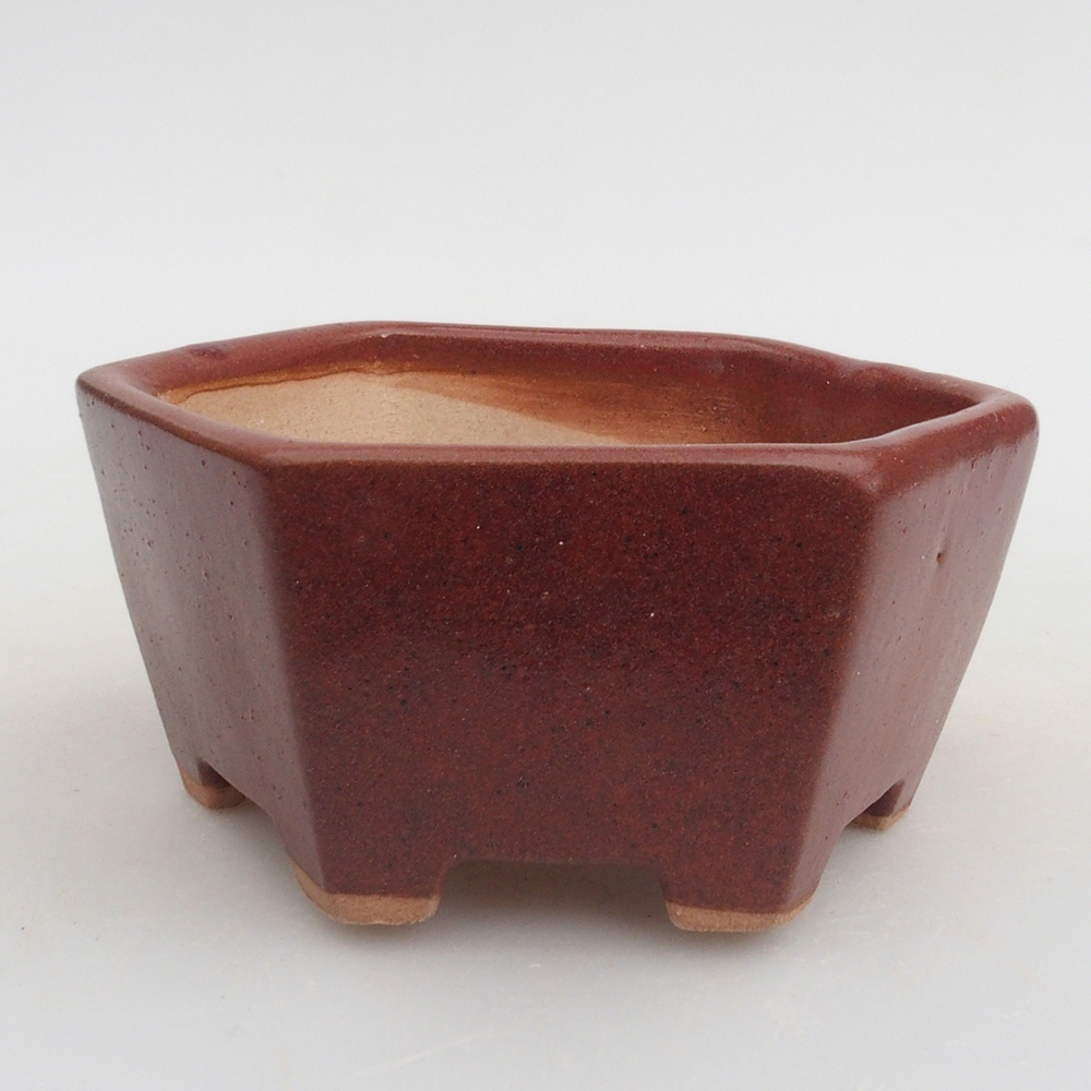 Cuenco bonsái de cerámica 9,5 x 9 x 4,5 cm, marrón