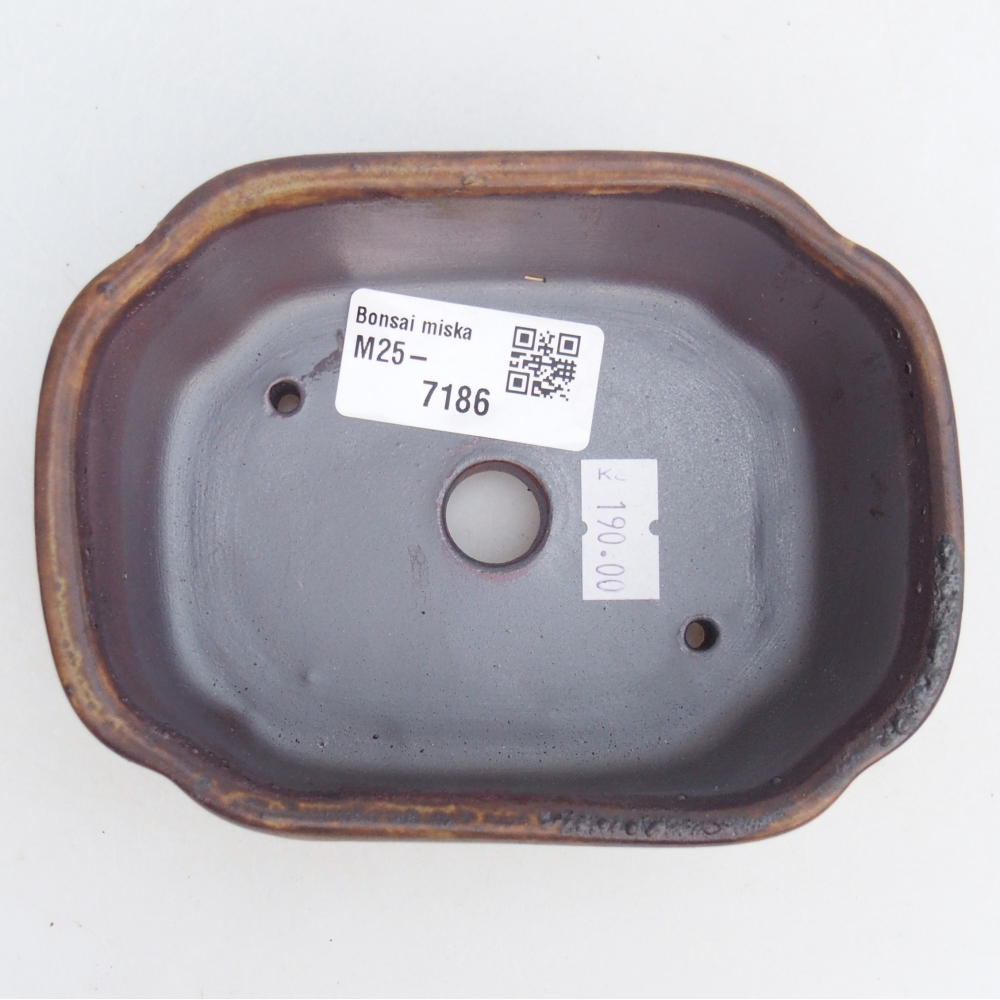 Cuenco bonsái de cerámica 12,5 x 9,5 x 4,5 cm, marrón