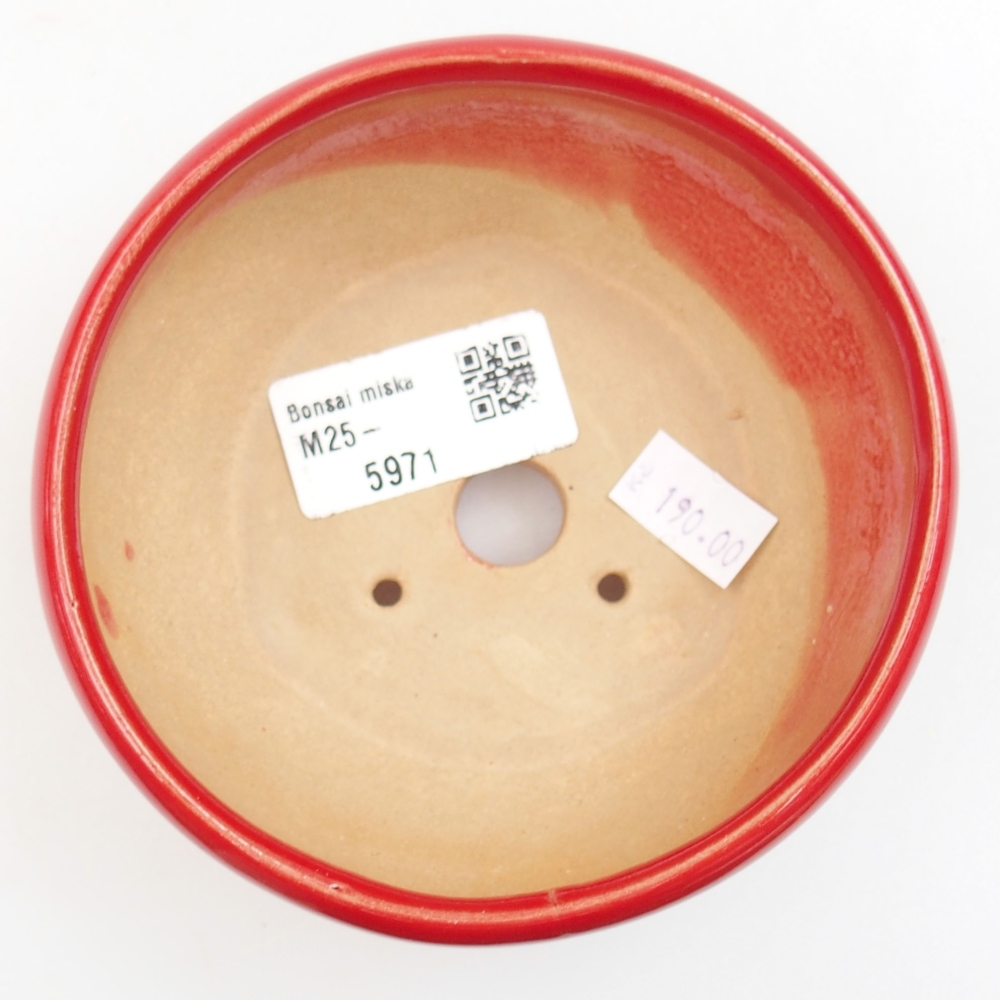 Cuenco bonsái de cerámica 22 x 17 x 5 cm, verde