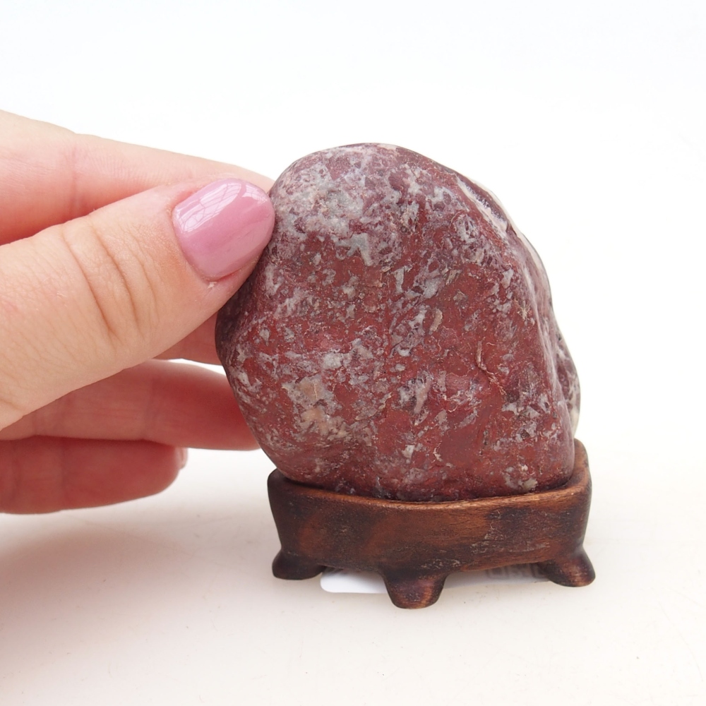 Suiseki - Piedra con DAI (base de madera)