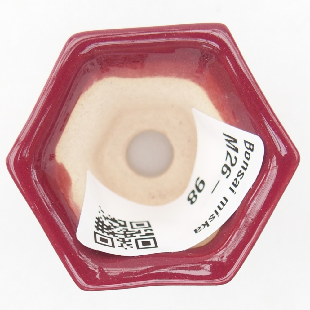 Cuenco mini bonsái 4 x 4 x 3,5 cm, burdeos