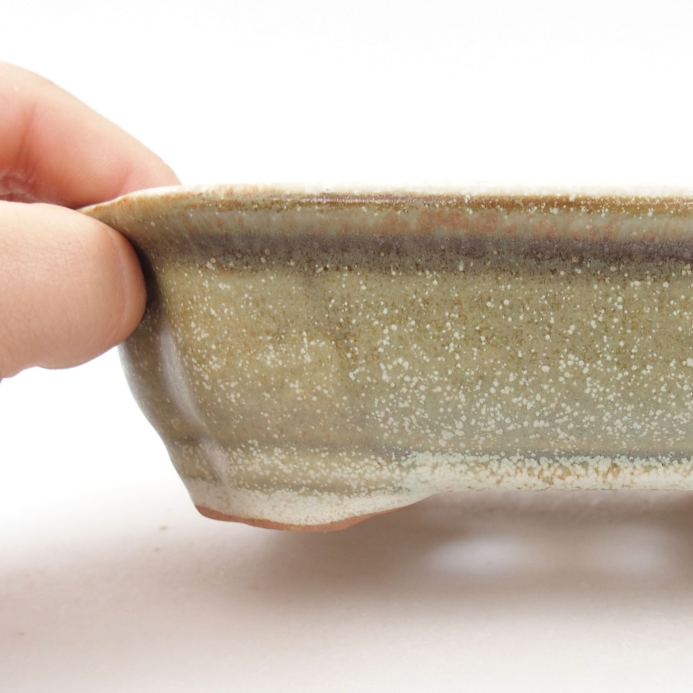 Cuenco bonsái de cerámica 22 x 17 x 5 cm, verde