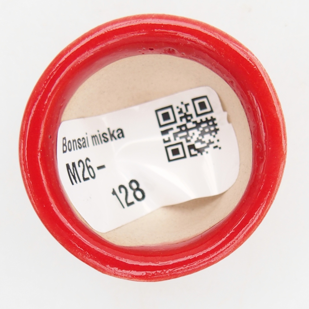 Cuenco mini bonsái 4 x 4 x 2,5 cm, color rojo