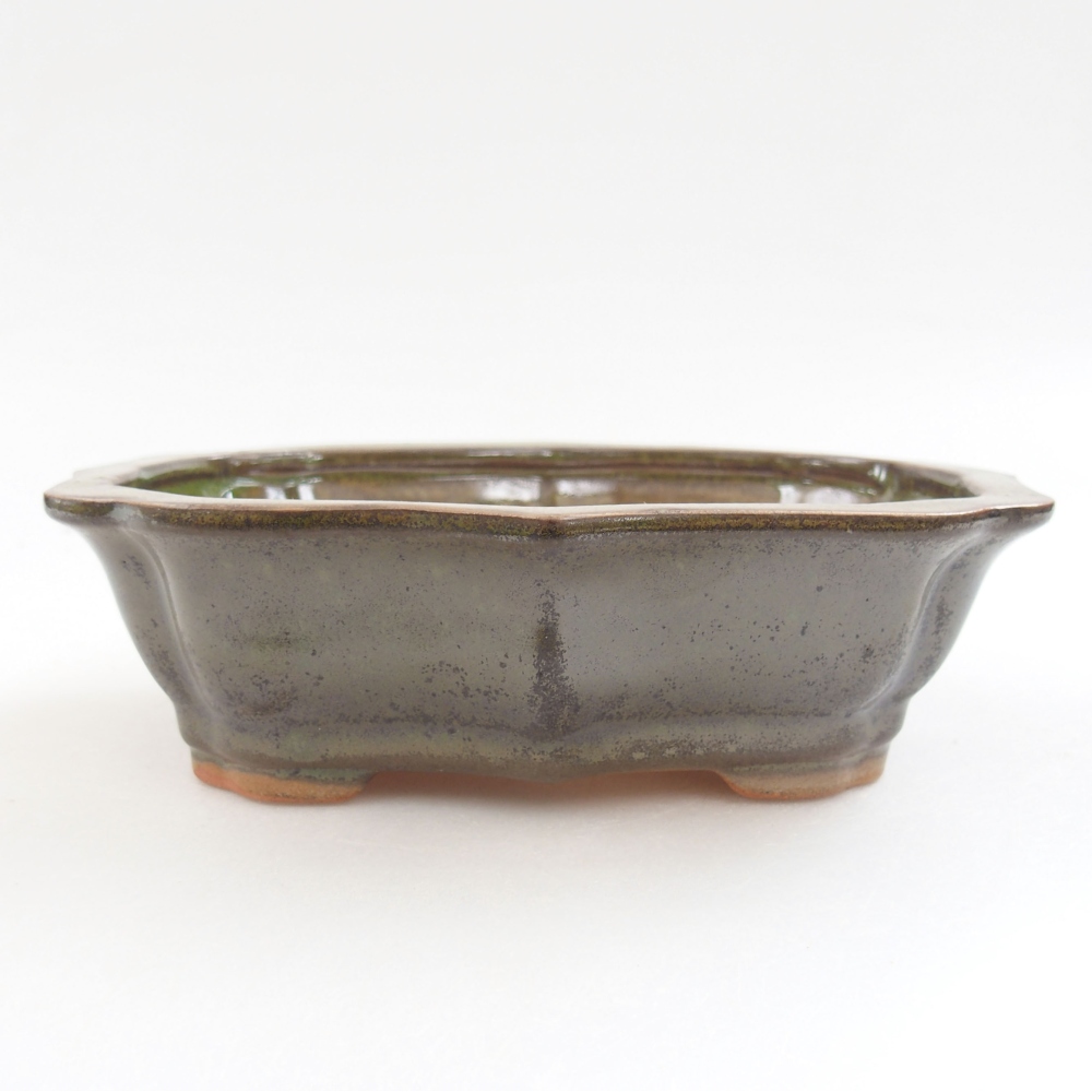 Cuenco bonsái de cerámica 22 x 17 x 5 cm, verde