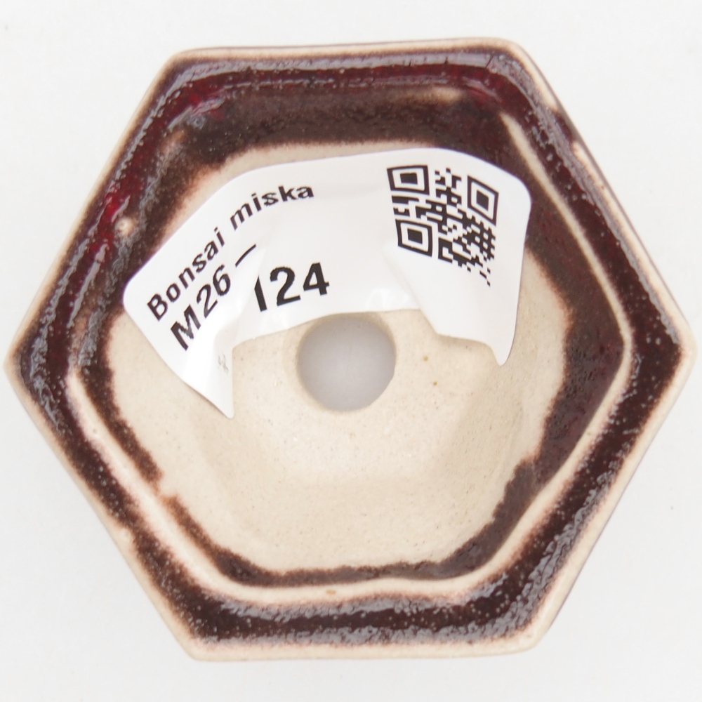 Cuenco mini bonsái 5,5 x 5 x 3 cm, color rojo