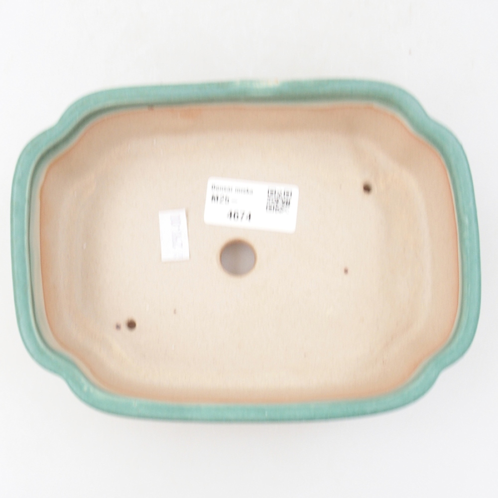 Cuenco bonsái de cerámica 18 x 13 x 5 cm, verde