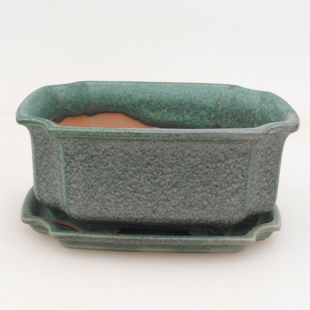 Bonsai cuenco + platillo H01 - verde