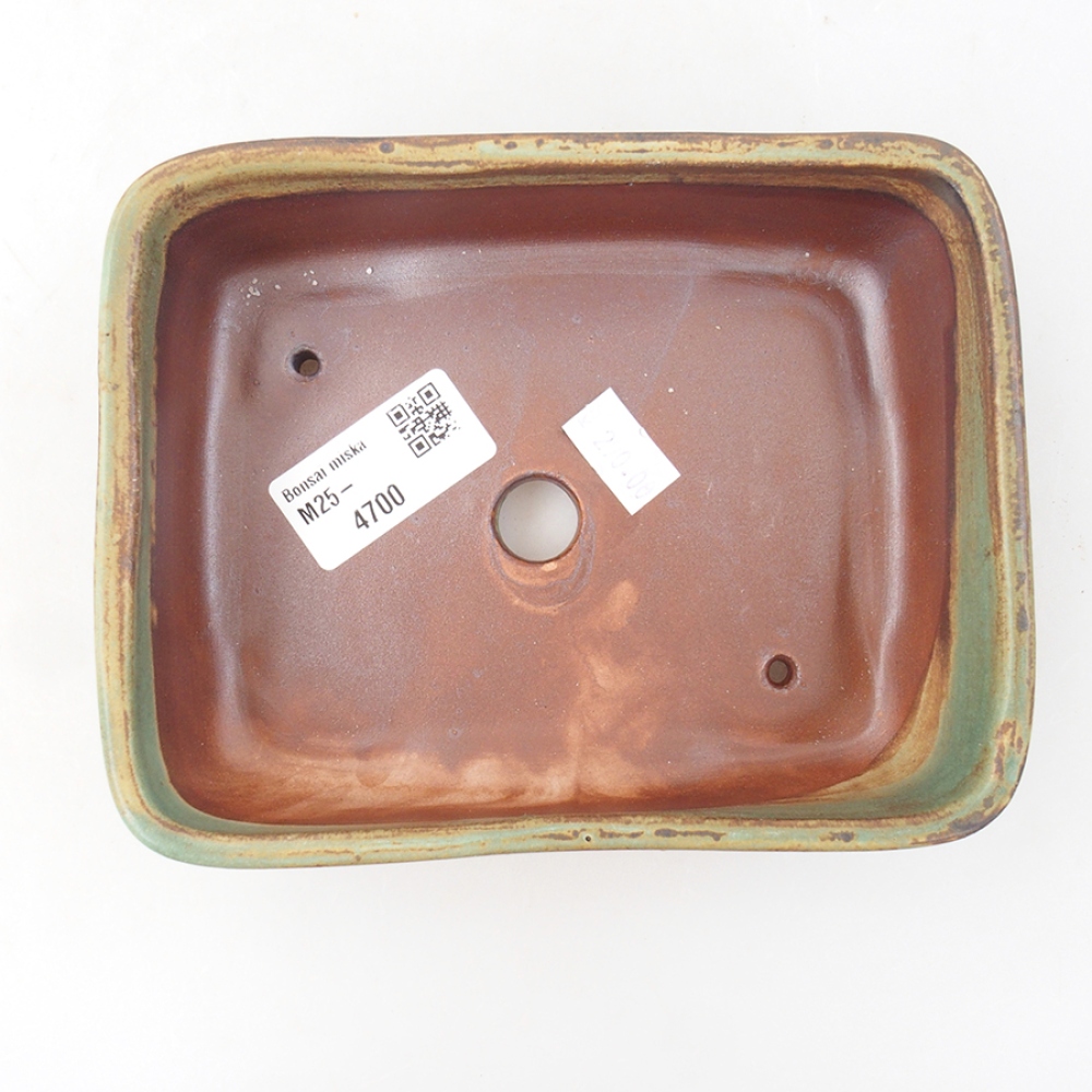 Cuenco bonsái de cerámica 15 x 12 x 4,5 cm, verde