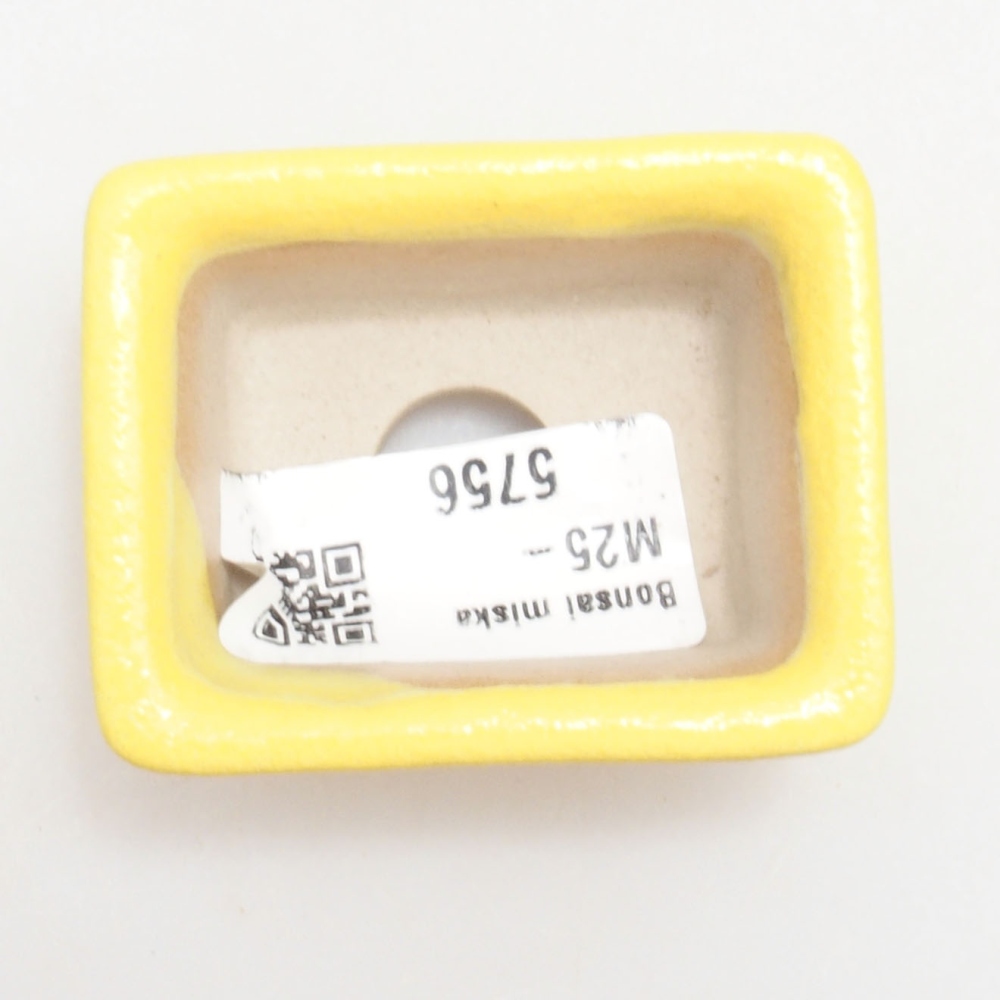 Cuenco bonsái de cerámica 5,5 x 4 x 2,5 cm, amarillo