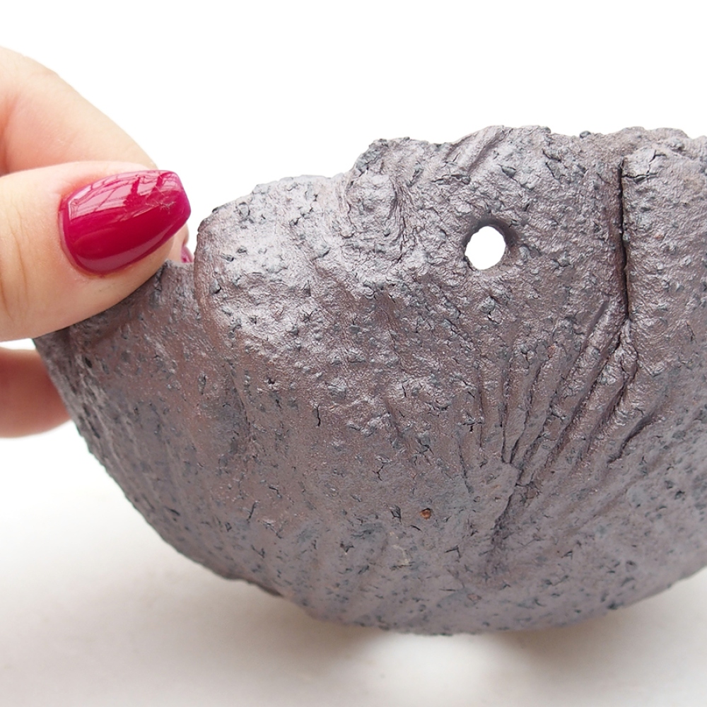 Concha de cerámica 13,5 x 13 x 7 cm , color metalizado