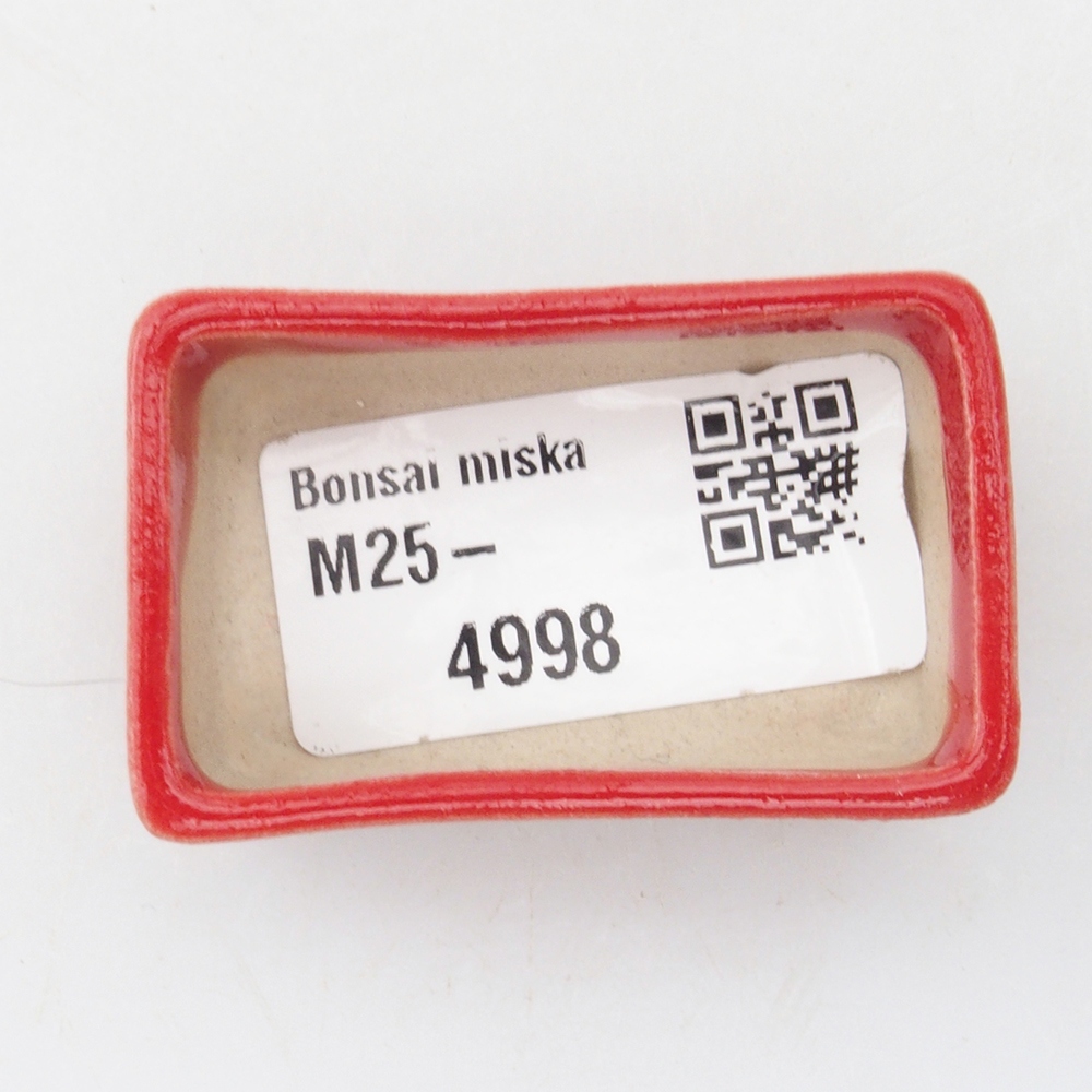 Mini cuenco bonsái 5 x 3 x 2 cm, color rojo