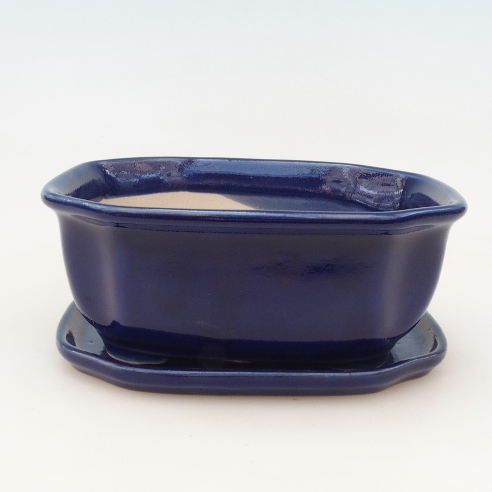 Bonsai cuenco + platillo H31 - azul