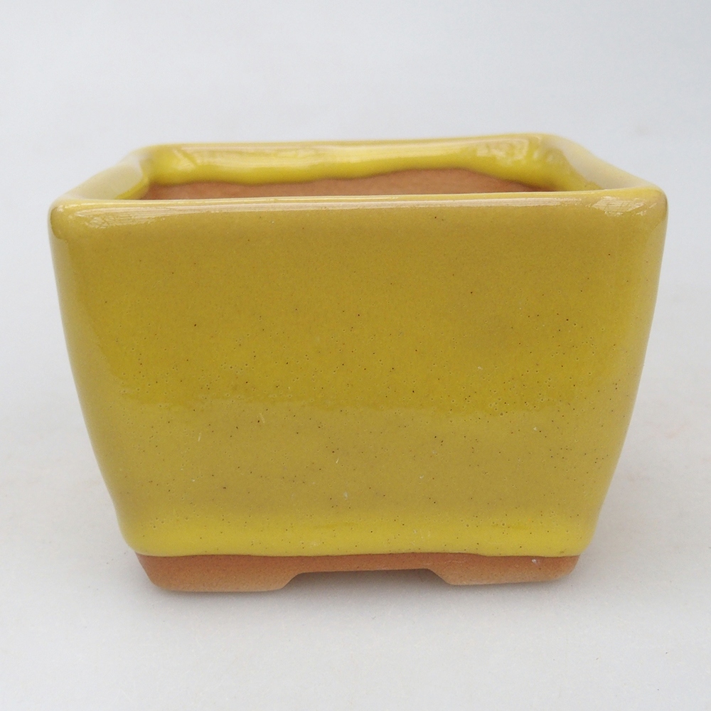 Cuenco bonsái de cerámica 8,5 x 8,5 x 6 cm, amarillo