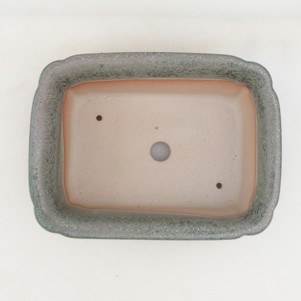 Cuenco bonsái H50 - 17 x 12,5 x 5,5 cm - verde