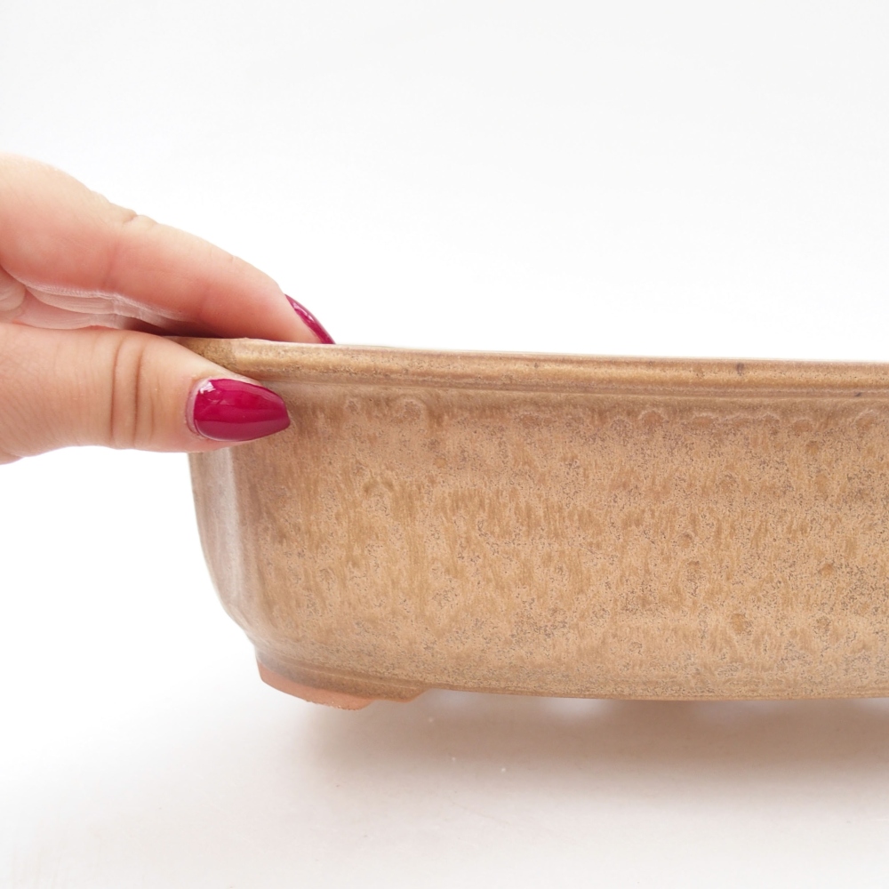 Cuenco bonsái de cerámica 24,5 x 21 x 7 cm, color beige