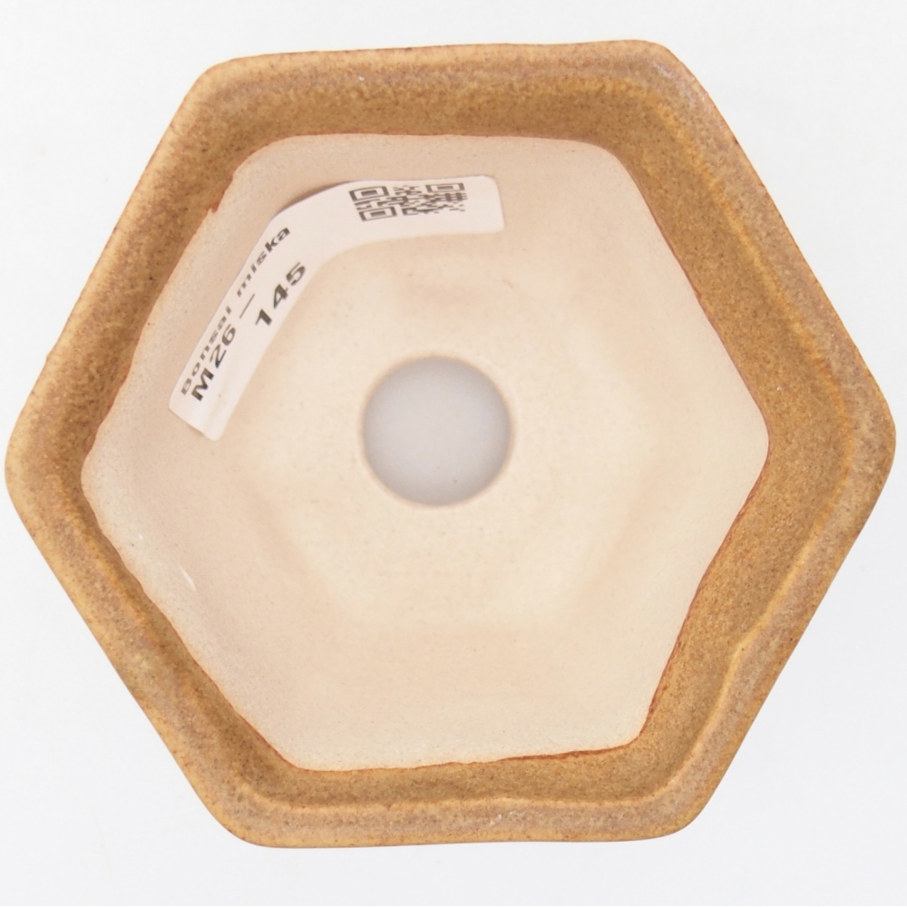 Cuenco mini bonsái 7,5 x 6,5 x 5 cm, marrón